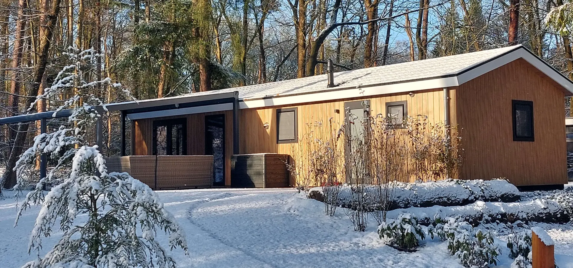 Sneeuw Bos Chalet 2