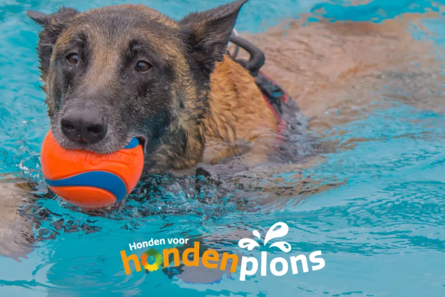 Special Header Ommerland website 2