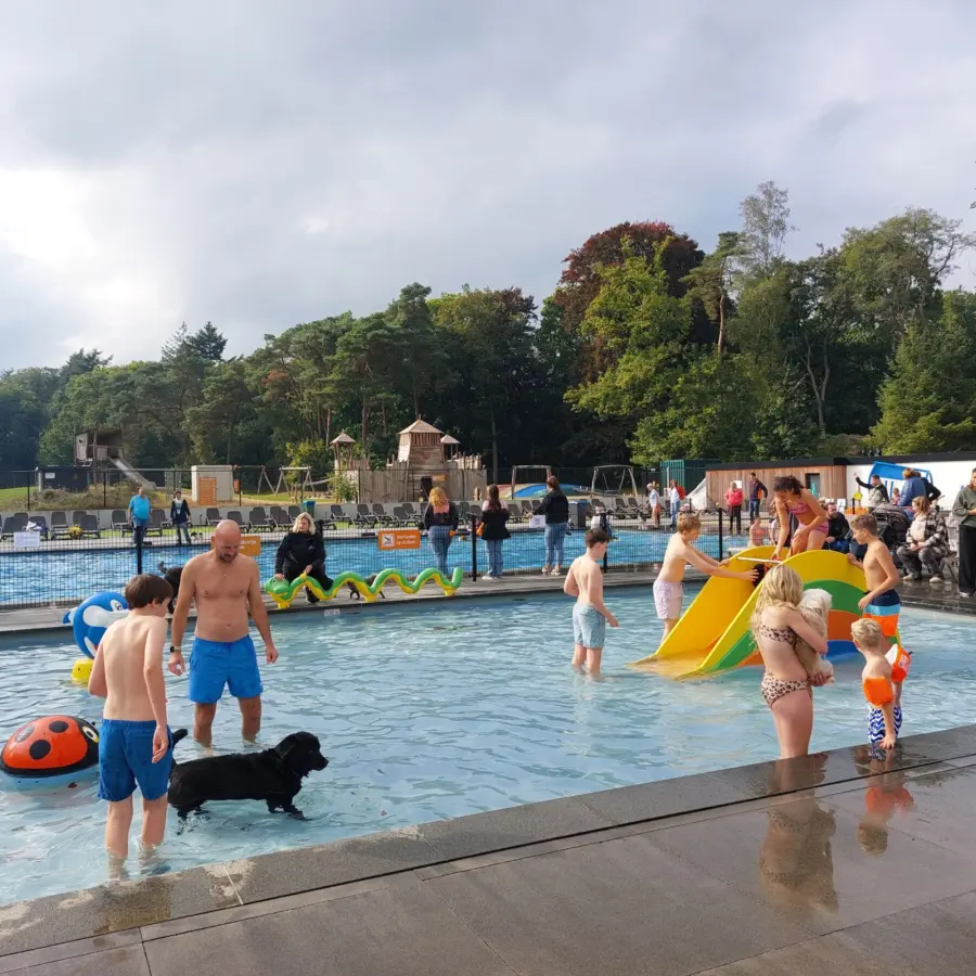 Hondencamping Nederland hondenplons 7