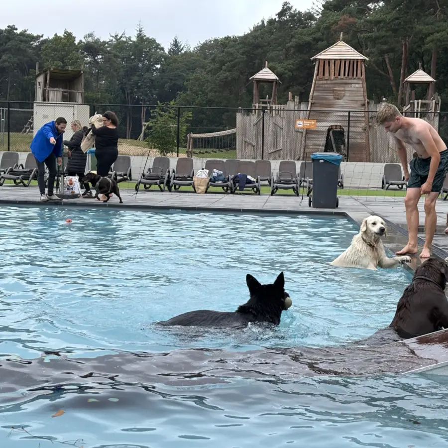 Hondencamping Nederland hondenplons 14