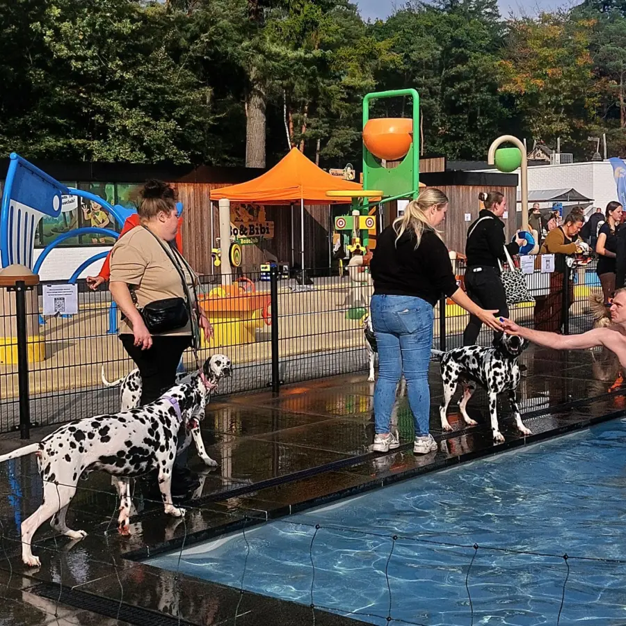 Hondencamping Nederland hondenplons 27