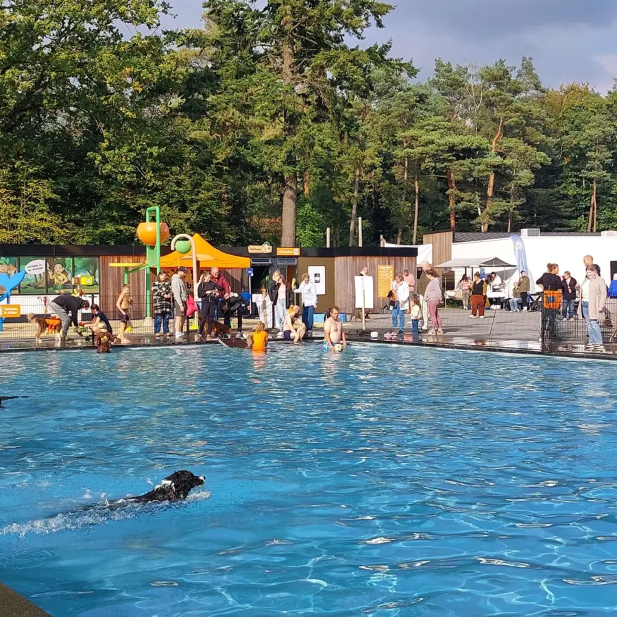 Hondencamping Nederland hondenplons 36