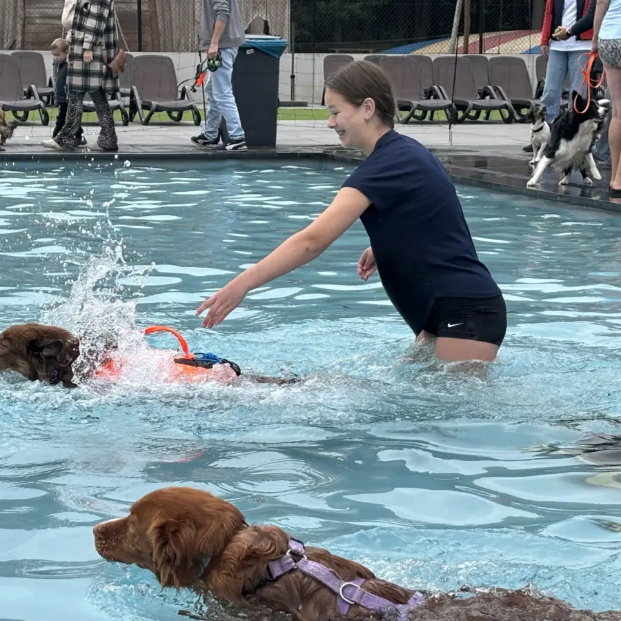 Hondencamping Nederland hondenplons 42