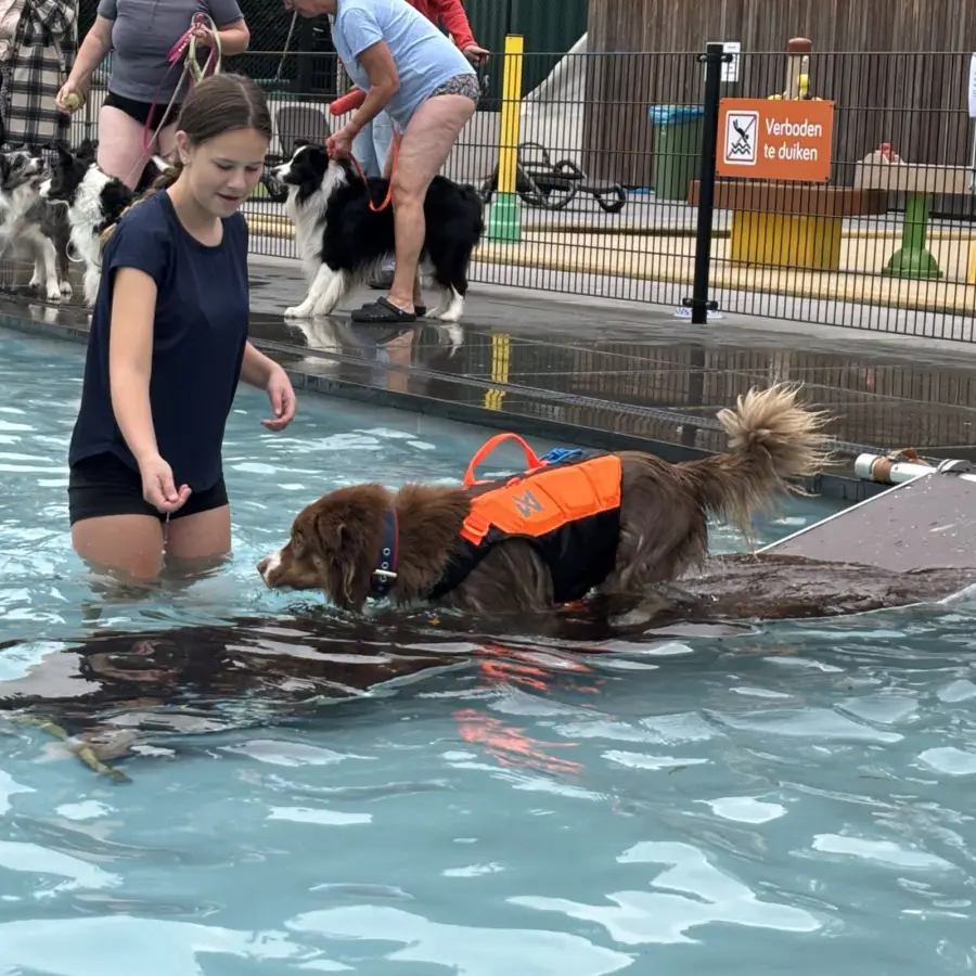 Hondencamping Nederland hondenplons 44