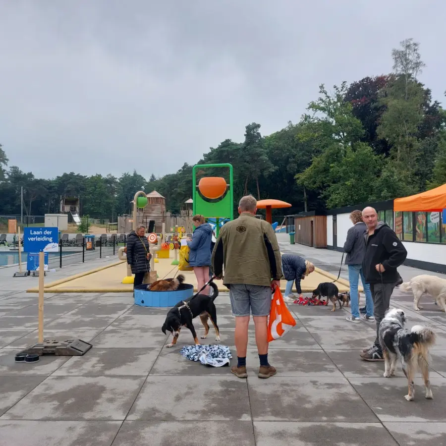 Hondencamping Nederland hondenplons 101