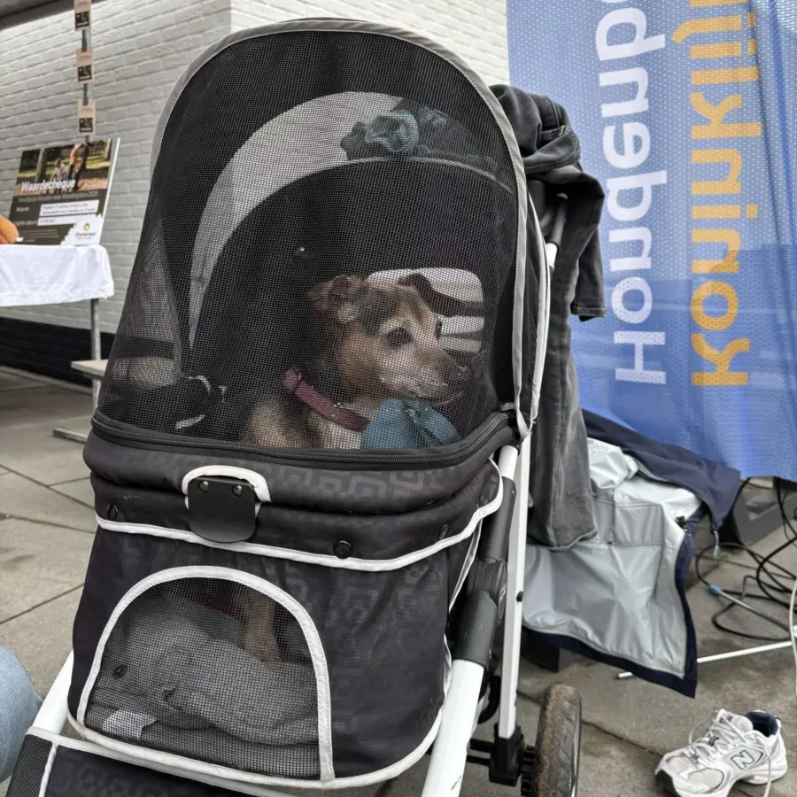 Hondencamping Nederland hondenplons 102