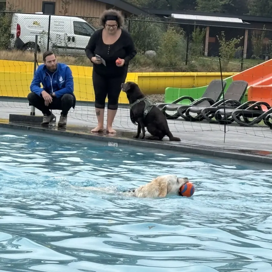 Hondencamping Nederland hondenplons 104