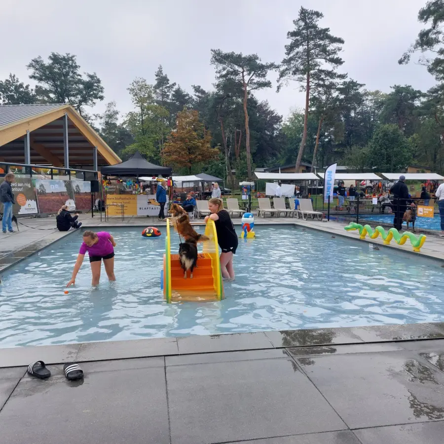 Hondencamping Nederland hondenplons 111