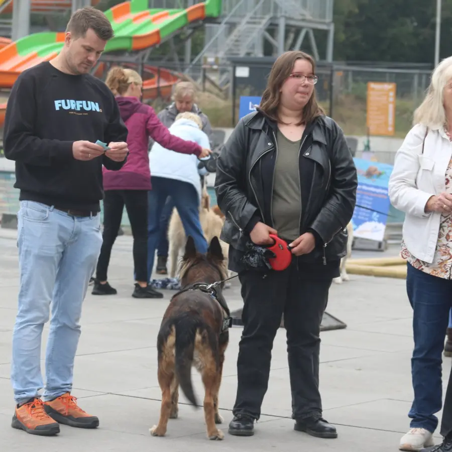 Hondencamping Nederland hondenplons 3