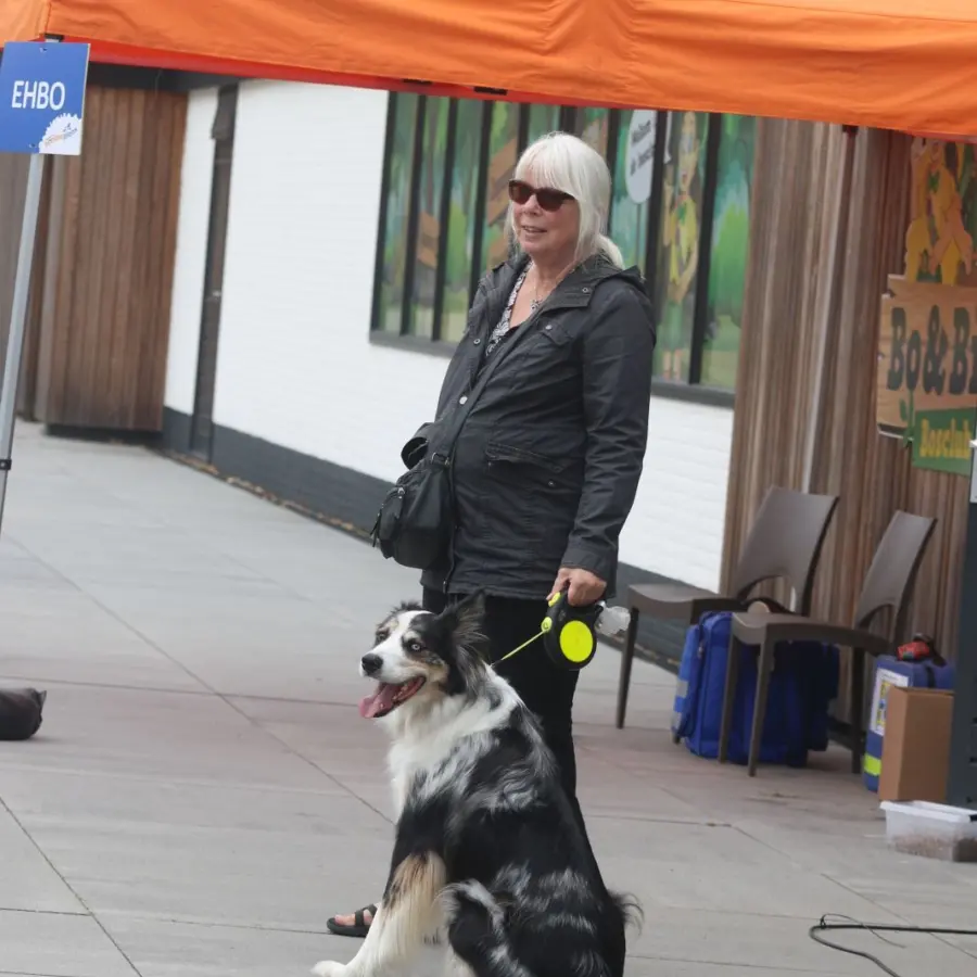 Hondencamping Nederland hondenplons 7