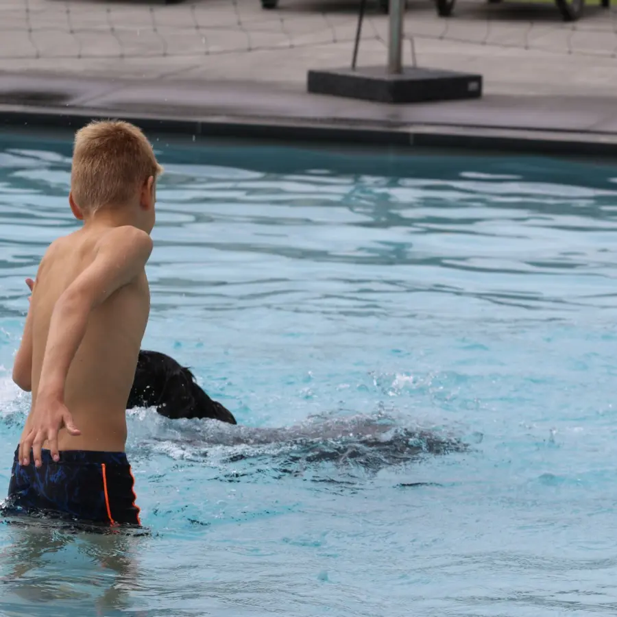 Hondencamping Nederland hondenplons 17