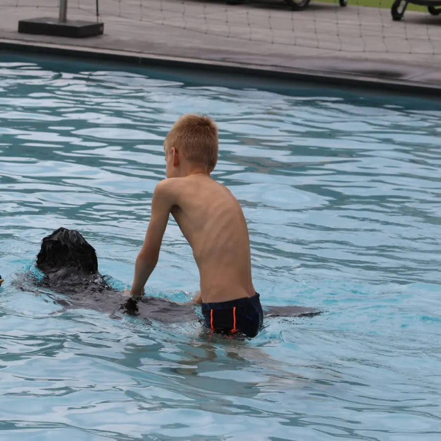 Hondencamping Nederland hondenplons 19