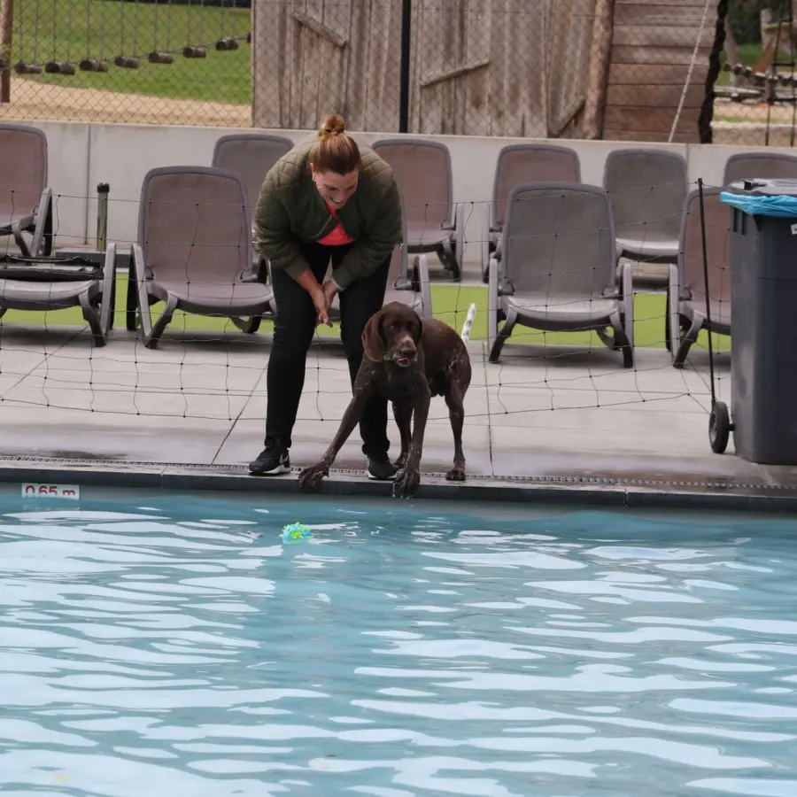 Hondencamping Nederland hondenplons 20