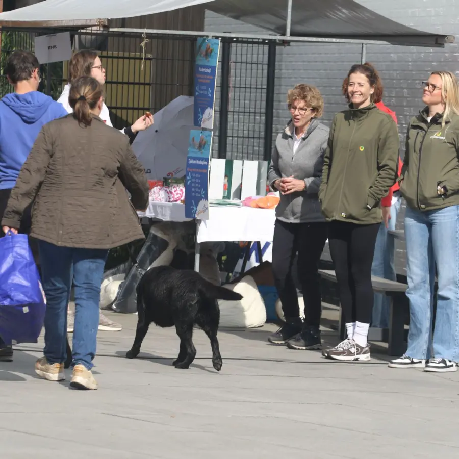 Hondencamping Nederland hondenplons 55