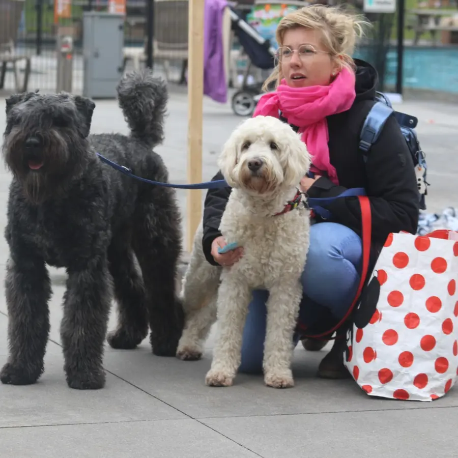 Hondencamping Nederland hondenplons 57