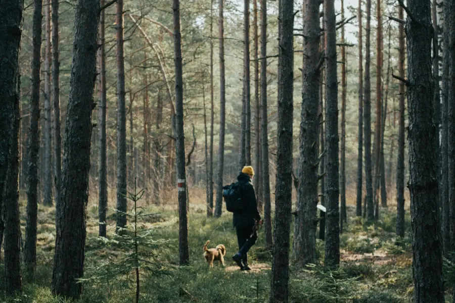 Ferienpark mit Hund Holland Ommerland