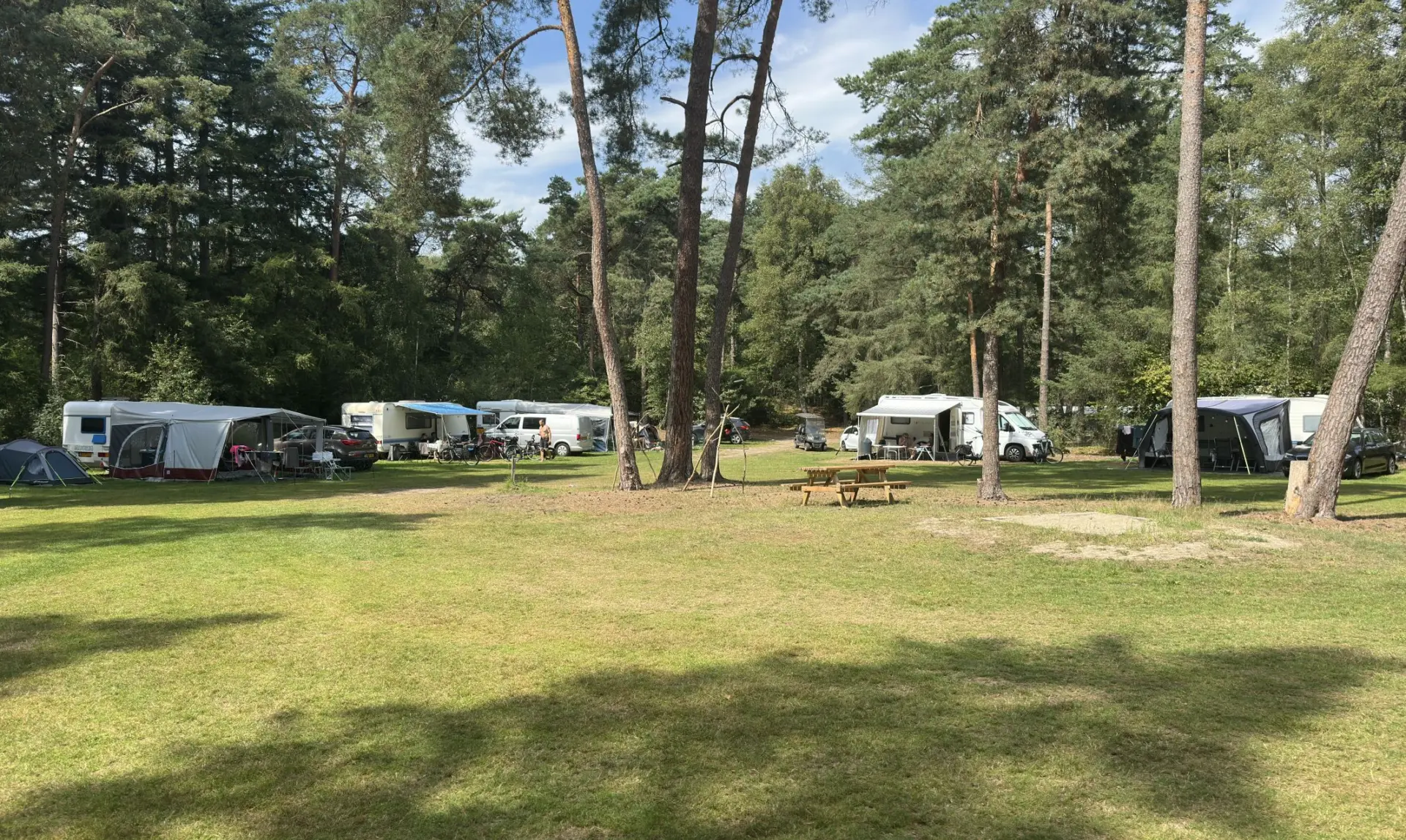 Camping Overijssel Ommerbos 8