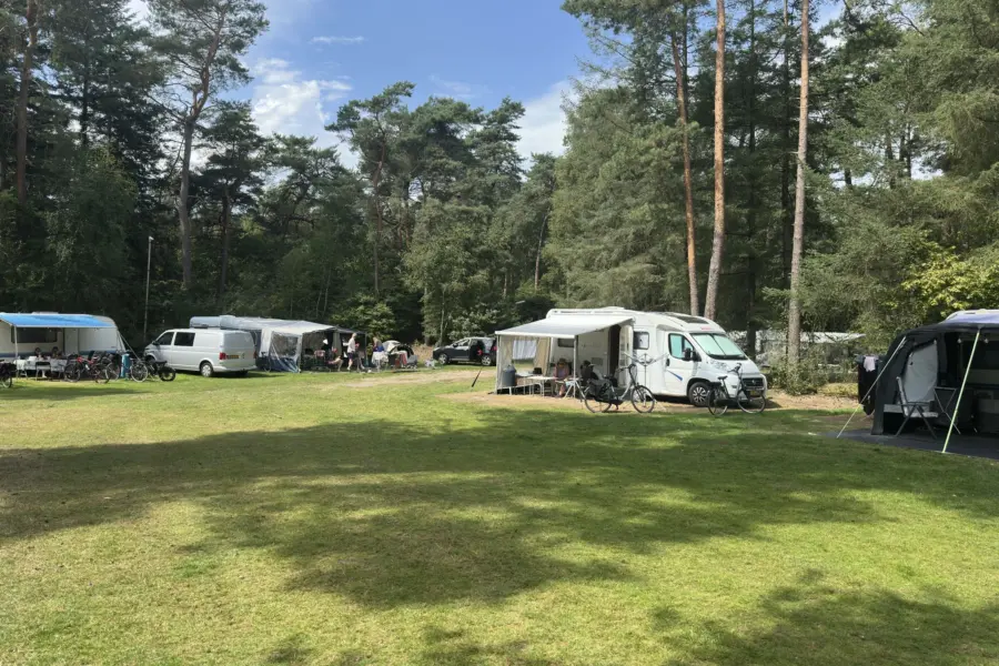 Camping Overijssel Ommerbos 13