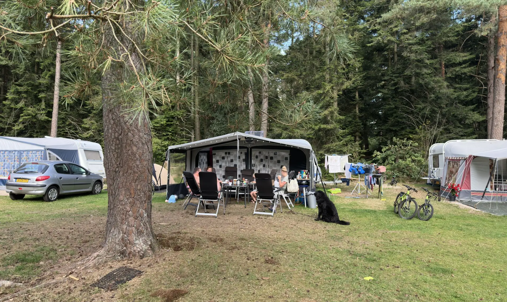 Camping Overijssel Ommerberg 6