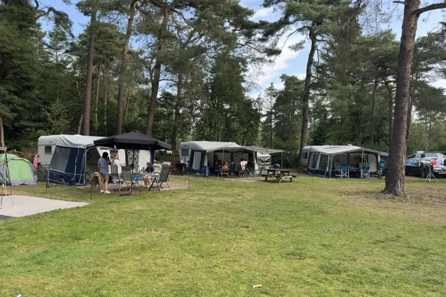 Camping Overijssel Ommerberg 3