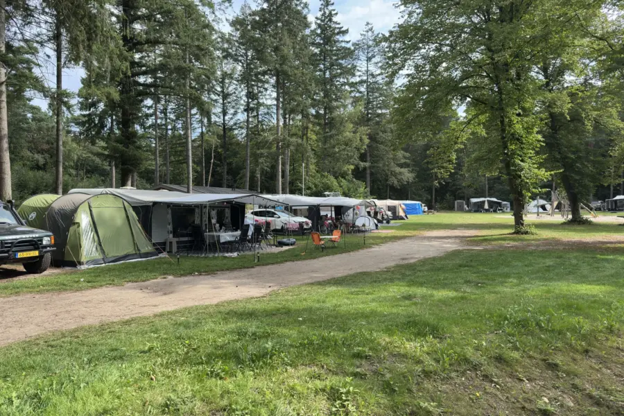 Camping Overijssel Ommerhout 1