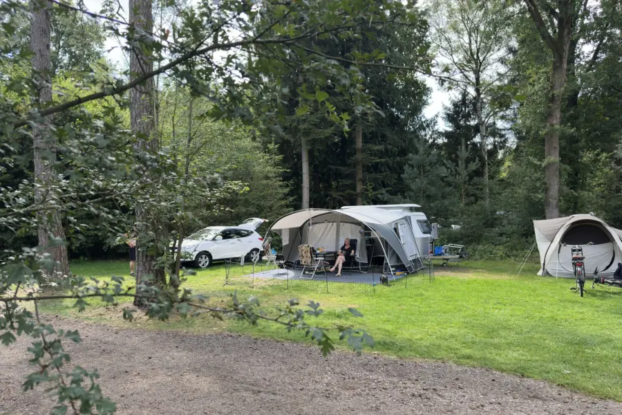 Hondencamping Nederland Ommervallei 11