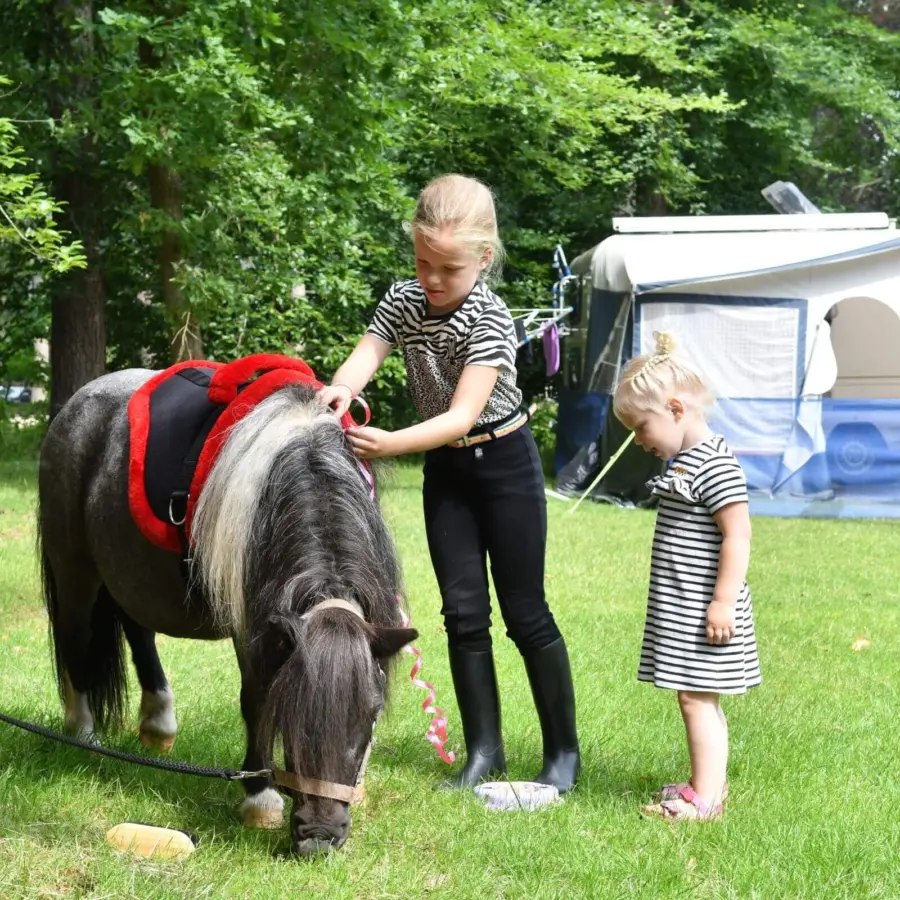 Camping met ponyrijden pony kampeerplaasts 1