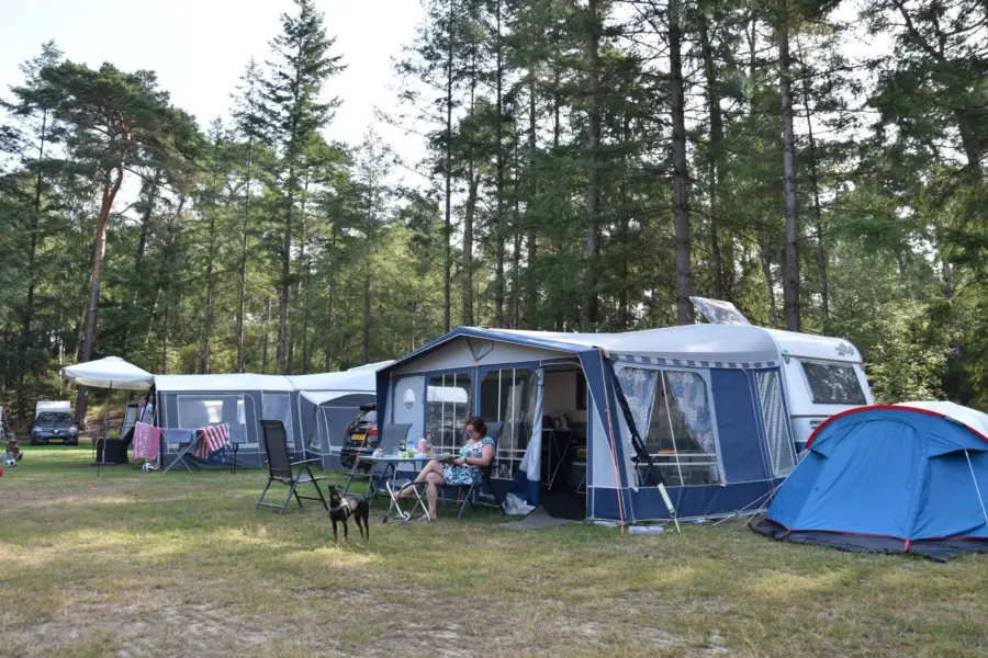 Camping Ommen kampeerplaats honden toegestaan Ommervallei 15