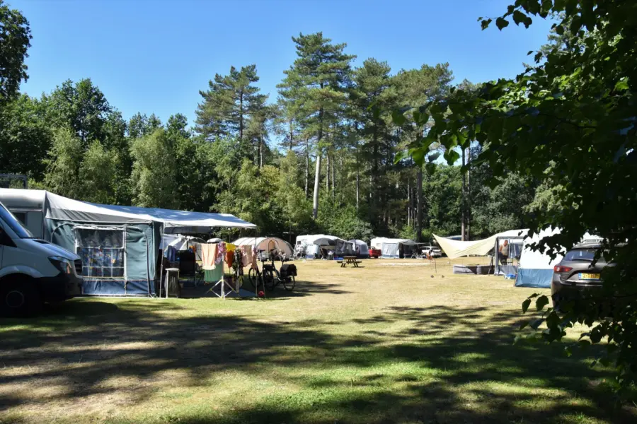 Camping Ommen met zwembaden 11