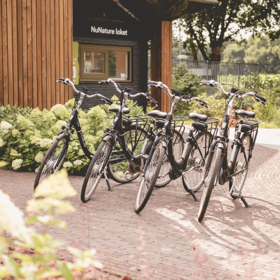 Klimbos Ommen E chopper kano huren 19