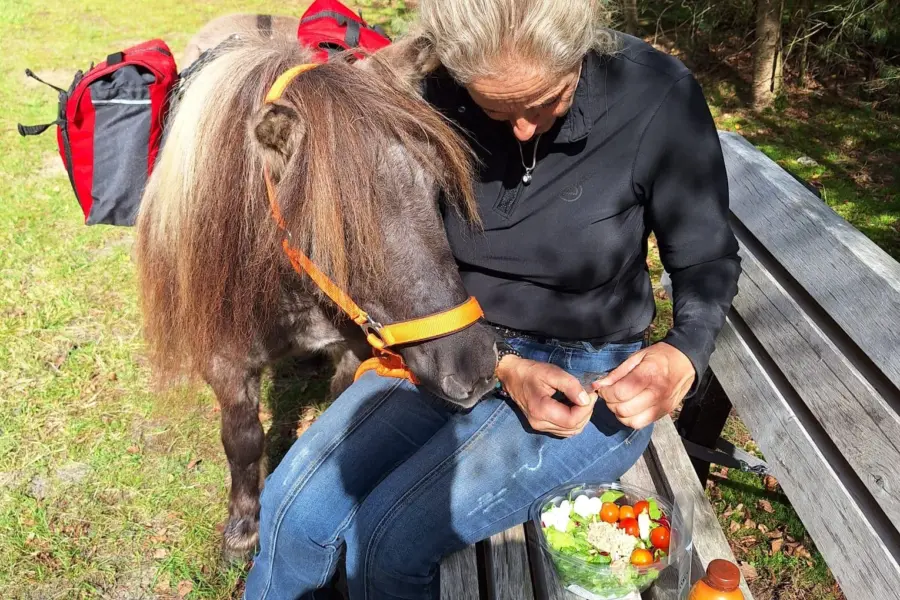 Pony trektocht Ommen 5