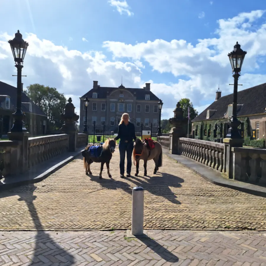 Pony trektocht Ommen 2