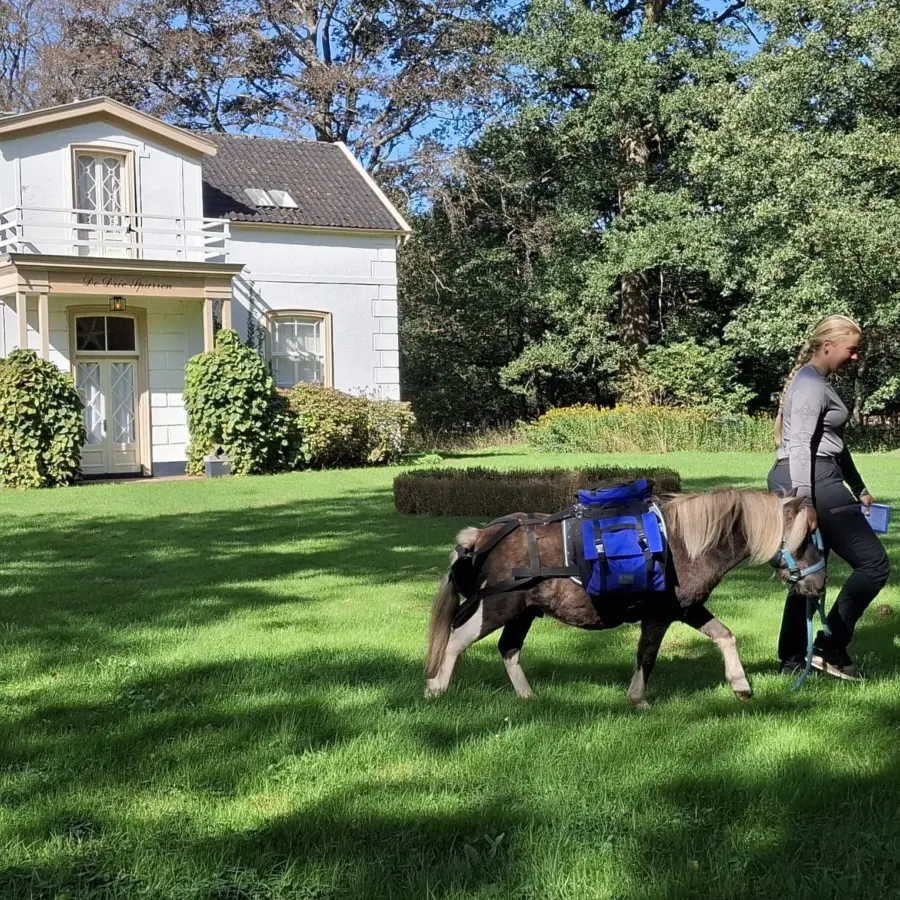 Pony trektocht Ommen 6
