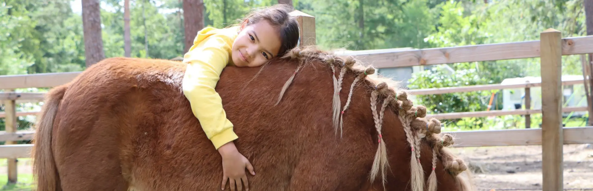 Camping met verzorgpony Ommen 1