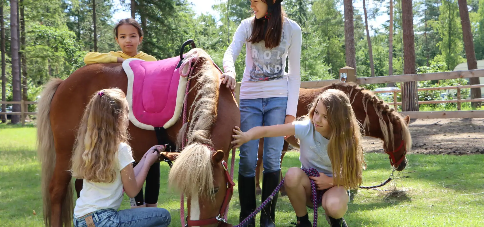 Camping met verzorgpony Ommen 2