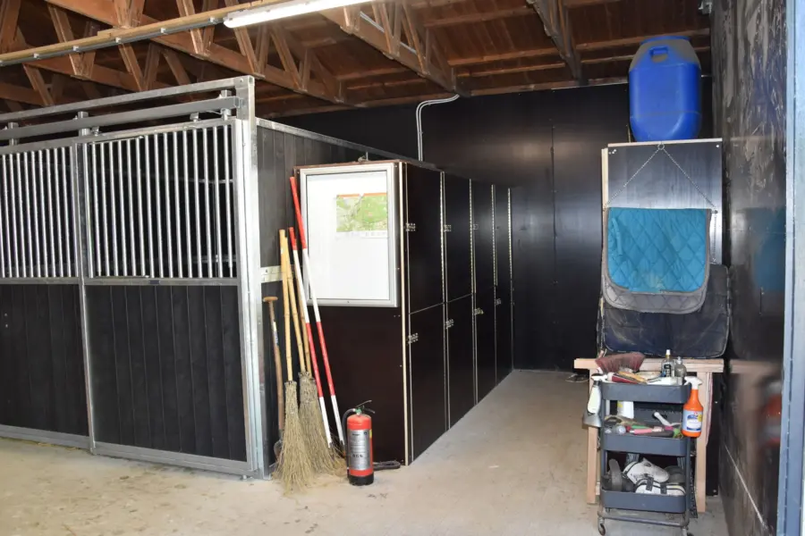 Paardenvakantie Manege Ommen 7