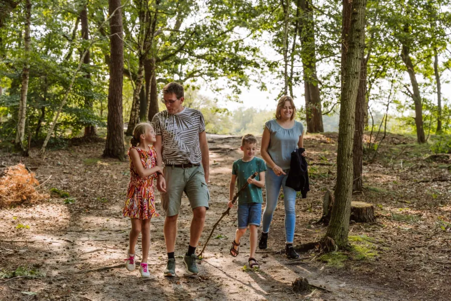 Vakantiepark Ommen Ommerland 47