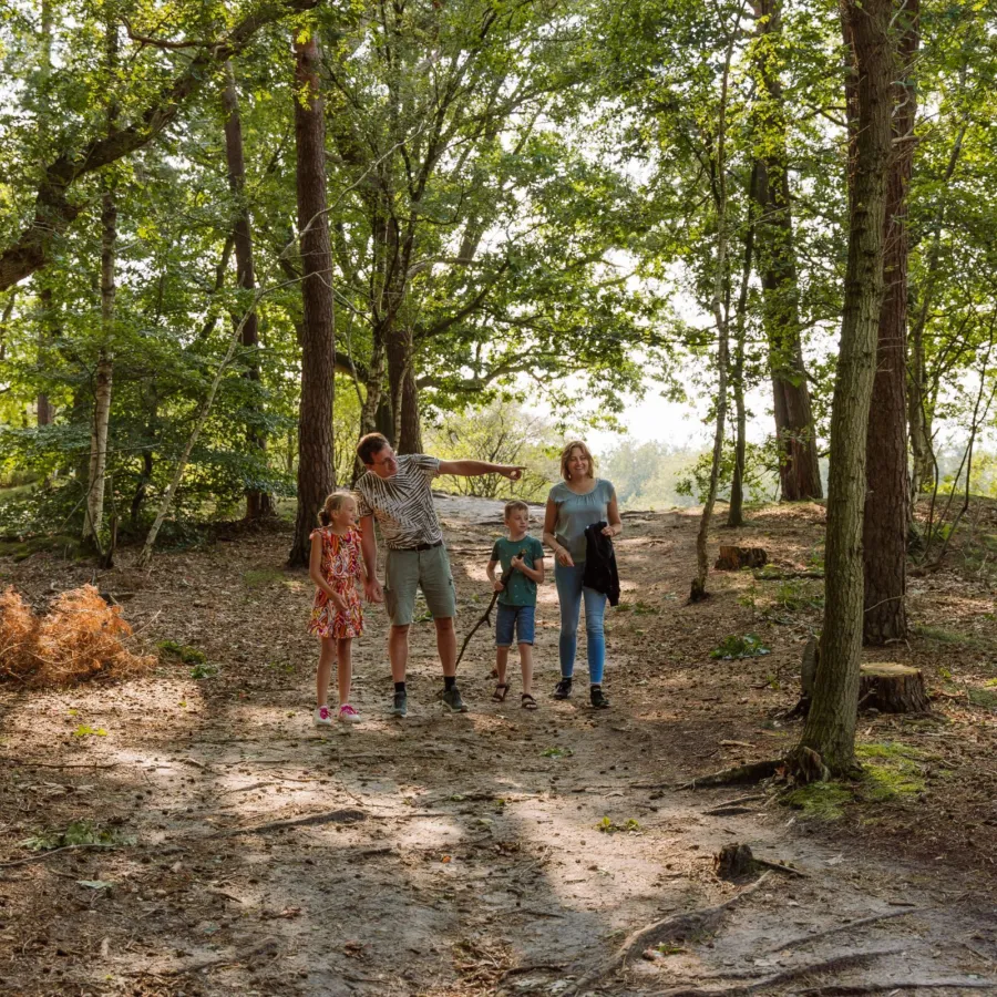 Vakantiepark Ommen Ommerland 46