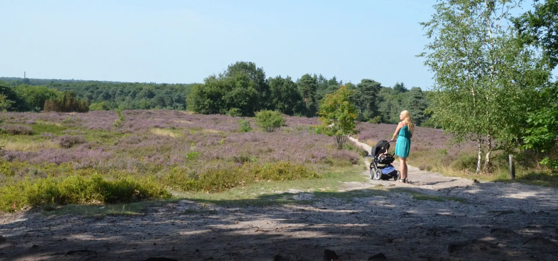 Uitkijktoren Ommen camping Ommerland 17