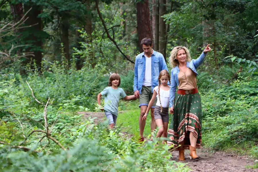 Camping in Ommen Ommerland 2