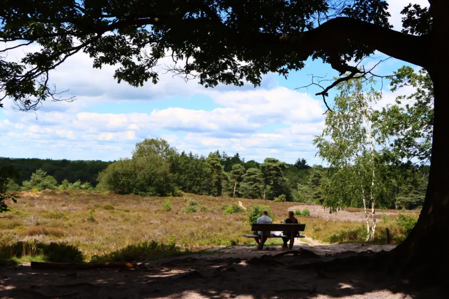 Vakantiepark Overijssel Ommerland 14